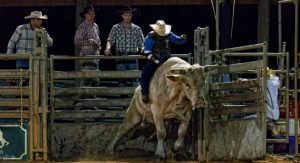 Westgate River Ranch Resort Saturday Night Rodeo